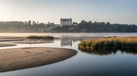 Vue panoramique évoquant le Val de Loire à l'époque de la Renaissance, entre fleuve sauvage et silhouette de château